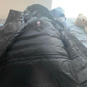 Canada goose Canmore